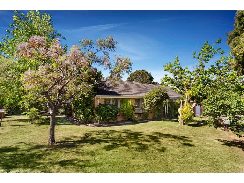 9 Belvoir St, Doncaster East VIC 3109