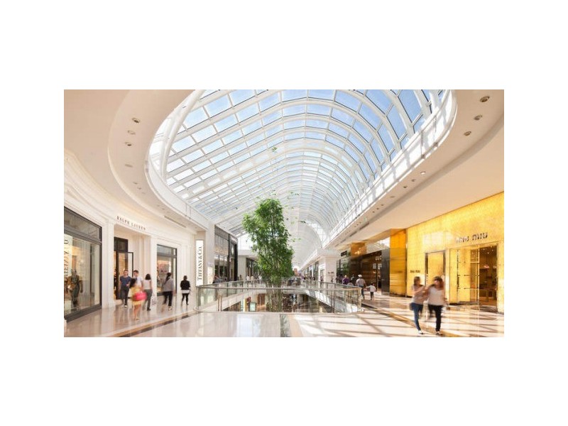 50 Edmonds Avenue, Ashwood VIC 3147