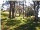 11 Morton Avenue, Lemon Tree Passage NSW 2319