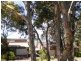43 Whitbread Drive, Lemon Tree Passage NSW 2319