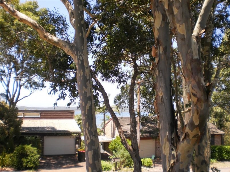 43 Whitbread Drive, Lemon Tree Passage NSW 2319