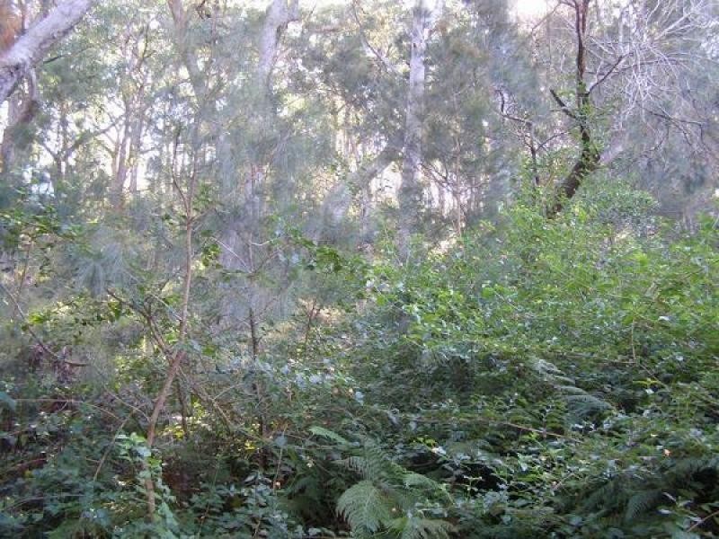 24 The Parkway, Mallabula NSW 2319