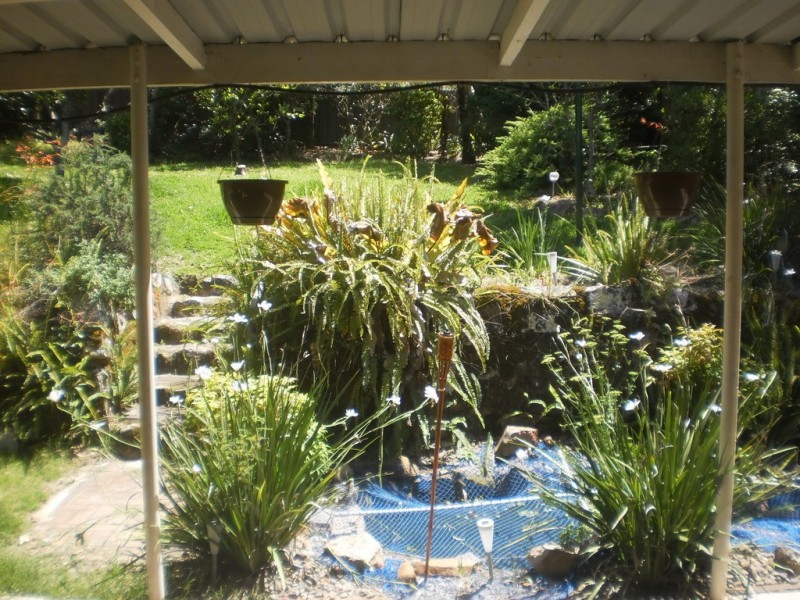 12 Helen Avenue, Lemon Tree Passage NSW 2319