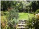 12 Helen Avenue, Lemon Tree Passage NSW 2319