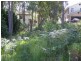 7 Morella Close, Mallabula NSW 2319