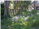 7 Morella Close, Mallabula NSW 2319