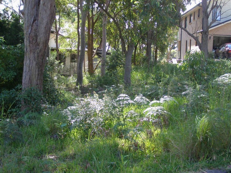 7 Morella Close, Mallabula NSW 2319