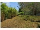 11 Rose Street, Lemon Tree Passage NSW 2319