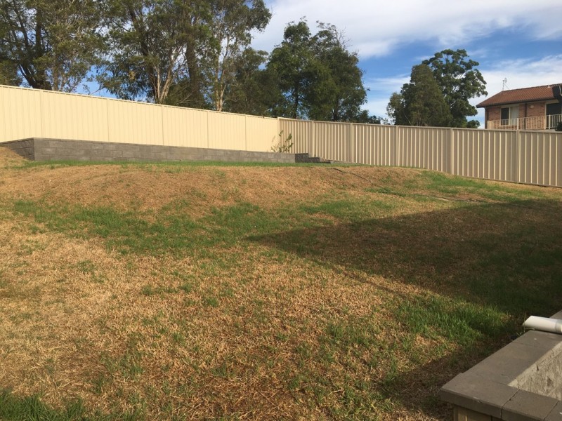 16 Elliott Close, Raymond Terrace NSW 2324