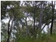 35 Watersleigh Avenue, Mallabula NSW 2319