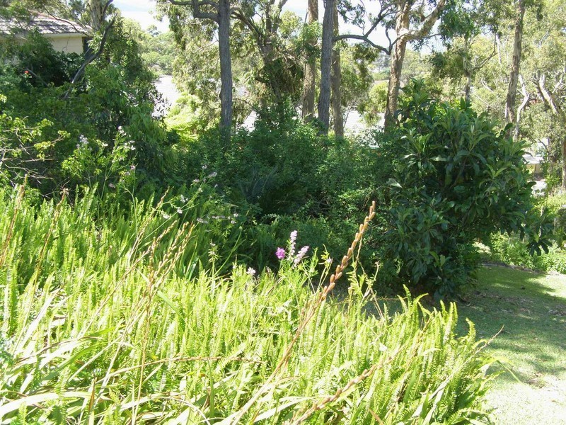 24 Whitbread Drive, Lemon Tree Passage NSW 2319