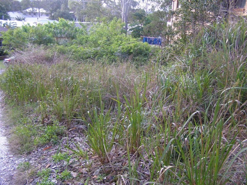 48A Johnson Parade, Lemon Tree Passage NSW 2319