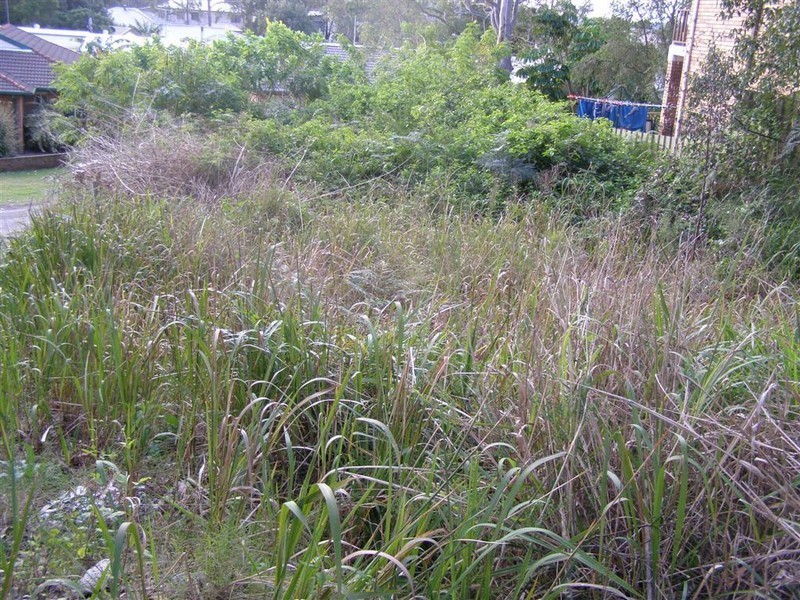 48A Johnson Parade, Lemon Tree Passage NSW 2319