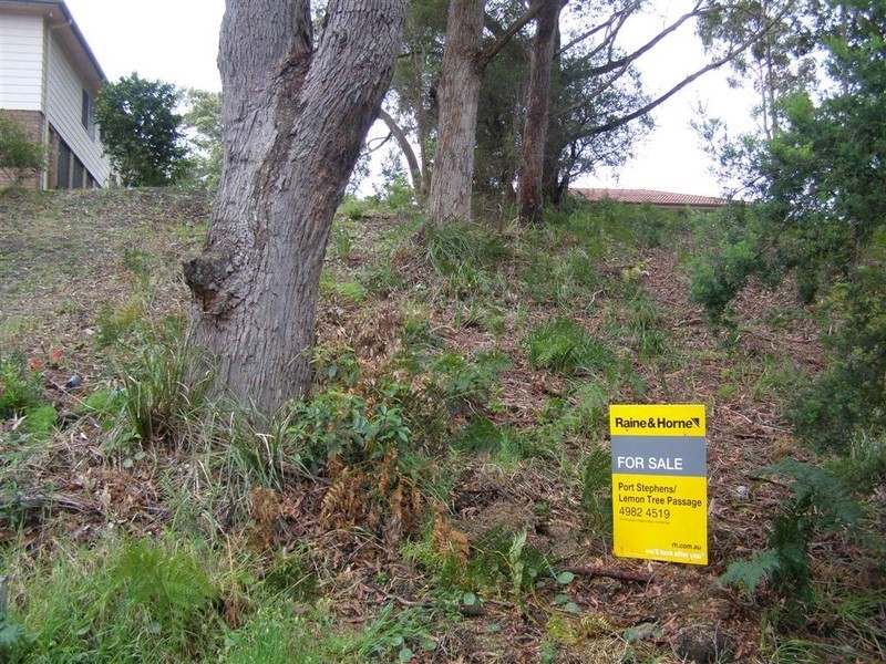 31 James Scott Crescent, Lemon Tree Passage NSW 2319