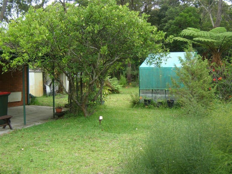 16 Torpey Avenue, Lemon Tree Passage NSW 2319