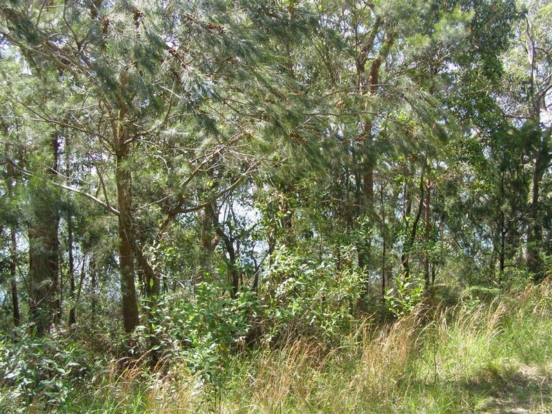 37 Watersleigh Avenue, Mallabula NSW 2319
