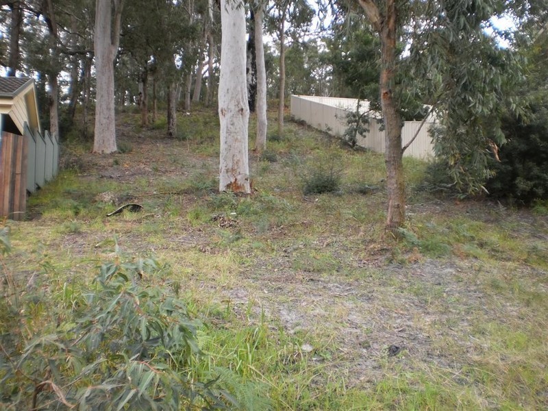 1299 Lemon Tree Passage Road, Lemon Tree Passage NSW 2319