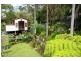 38 Tanilba Road, Mallabula NSW 2319
