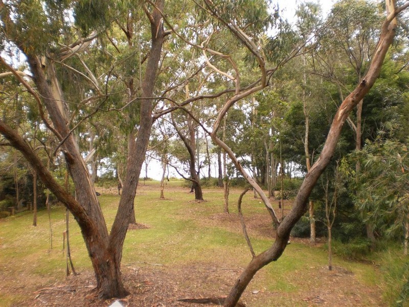 9 Malvern Road, Lemon Tree Passage NSW 2319