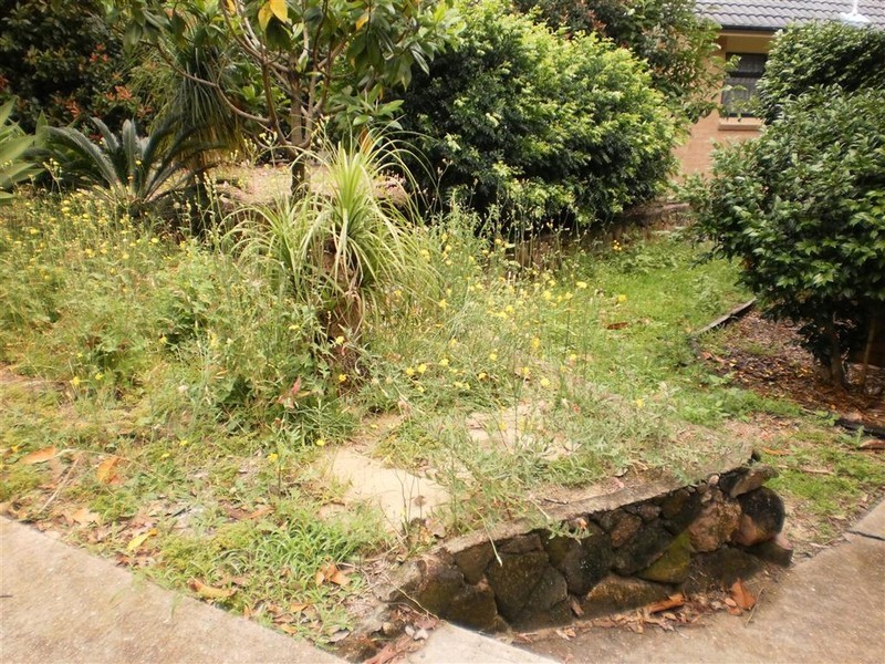 11 Morella Close, Mallabula NSW 2319