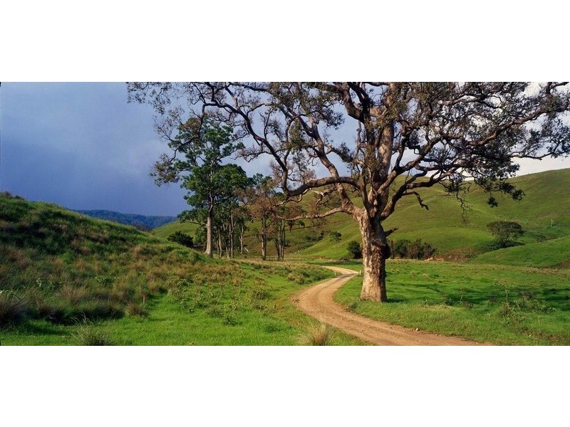 384 Jems Creek Road, Cobark NSW 2422
