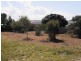 1047 Lemon Tree Passage Road, Tanilba Bay NSW 2319