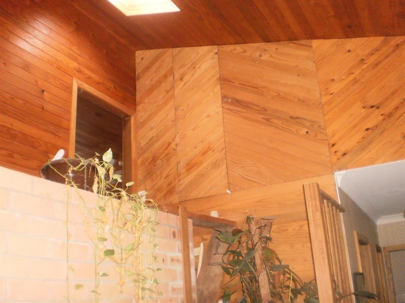 6 – 8 Cook Parade, Lemon Tree Passage NSW 2319