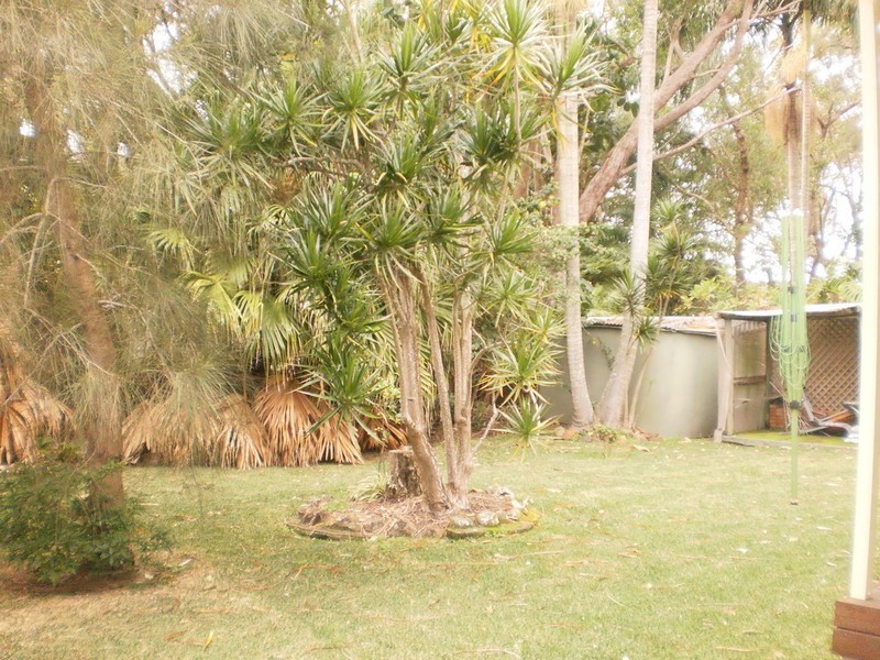 44 Francis Avenue, Lemon Tree Passage NSW 2319