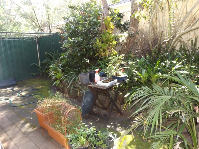 2/4a Blanch Street, Lemon Tree Passage NSW 2319