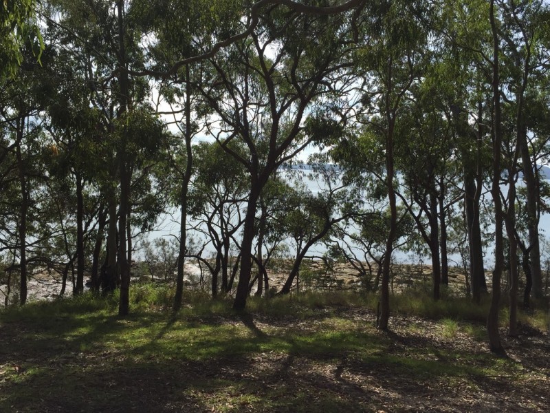 2/40 Watersleigh Avenue, Mallabula NSW 2319