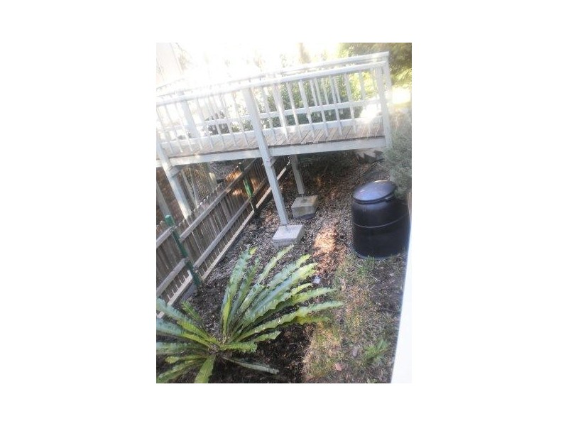 83 Francis Avenue, Lemon Tree Passage NSW 2319