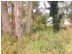 8 Geer Close, Lemon Tree Passage NSW 2319