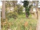 8 Geer Close, Lemon Tree Passage NSW 2319