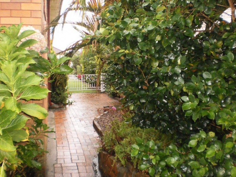35 Robert Street, Tenambit NSW 2323
