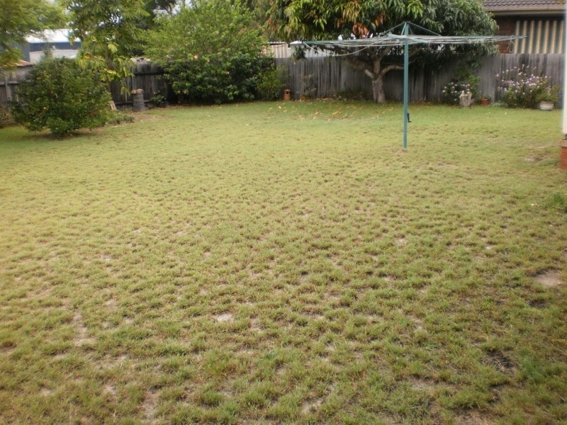 6 Redesdale Street, Mallabula NSW 2319
