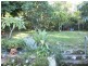 12 Helen Avenue, Lemon Tree Passage NSW 2319