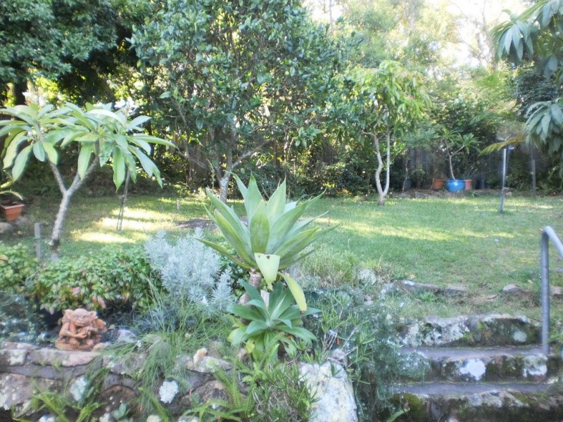 12 Helen Avenue, Lemon Tree Passage NSW 2319