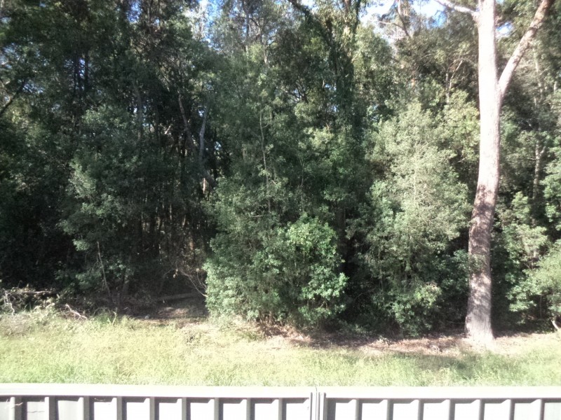 16/12 Blanch Street, Lemon Tree Passage NSW 2319