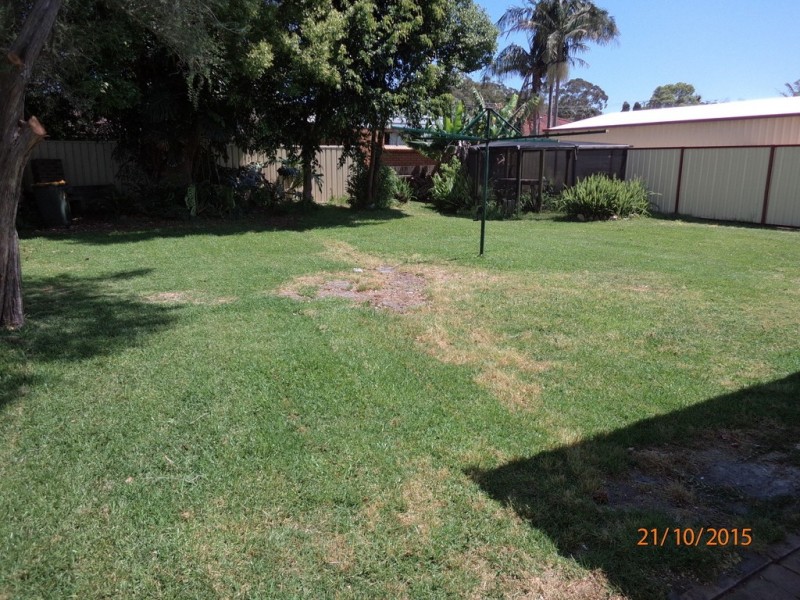 16 Elaine Avenue, Lemon Tree Passage NSW 2319
