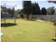 36 Tilligerry Track, Tanilba Bay NSW 2319
