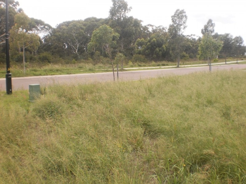 66 Diggers Drive, Tanilba Bay NSW 2319