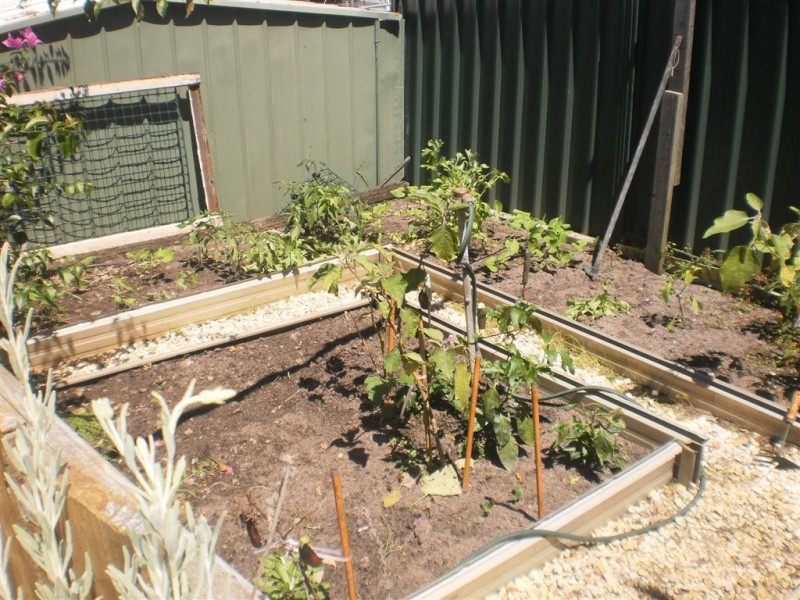 13 Rose Street, Lemon Tree Passage NSW 2319