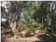 9 Malvern Road, Lemon Tree Passage NSW 2319