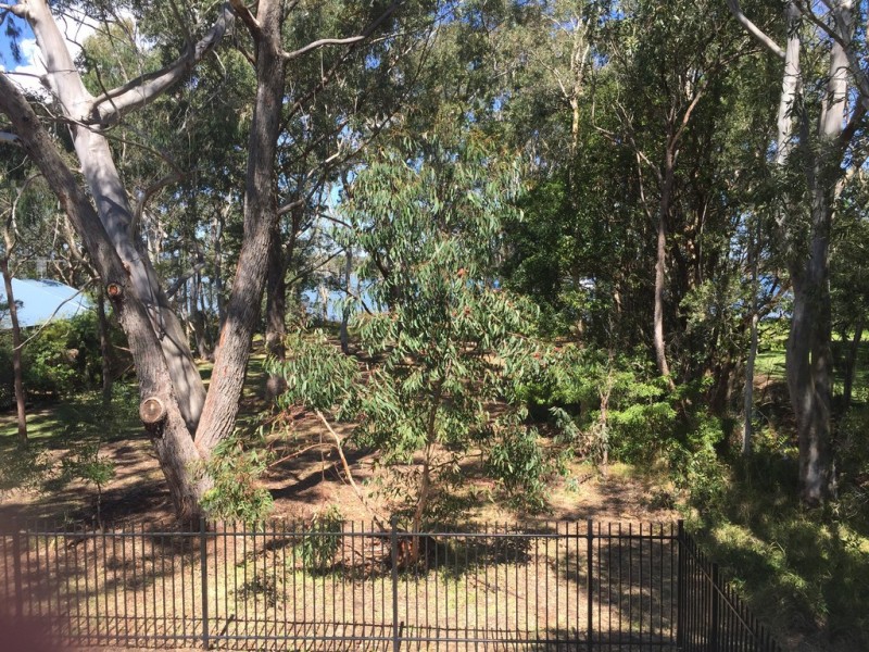 9 Malvern Road, Lemon Tree Passage NSW 2319