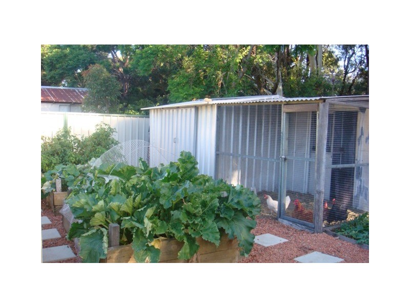 11 Tilligerry Track, Tanilba Bay NSW 2319