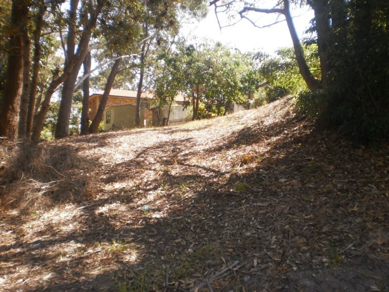 45 James Scott Crescent, Lemon Tree Passage NSW 2319