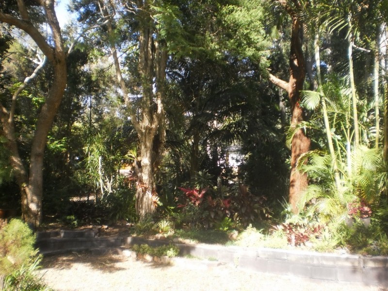 92 Francis Avenue, Lemon Tree Passage NSW 2319