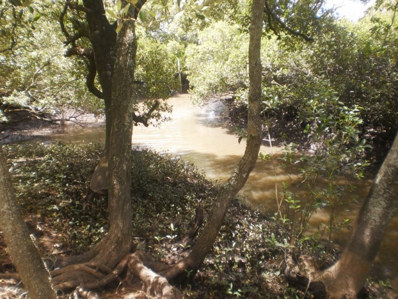 182 Lemon Tree Passage Road, Salt Ash NSW 2318