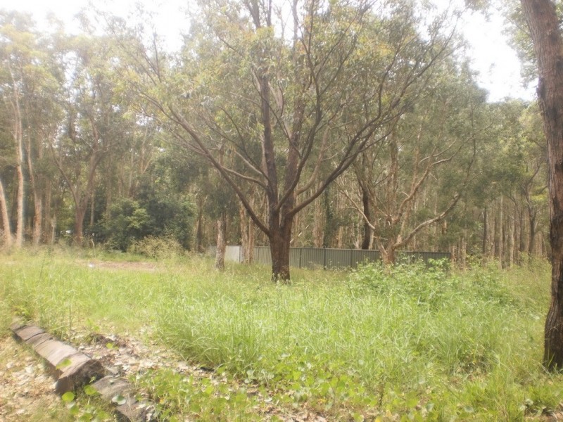 403 Lemon Tree Passage Road, Salt Ash NSW 2318