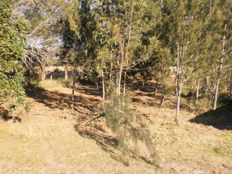 79A President Wilson Walk, Tanilba Bay NSW 2319